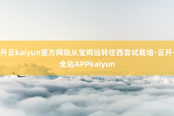 开云kaiyun官方网站从宝鸡运转往西尝试栽培-云开·全站APPkaiyun